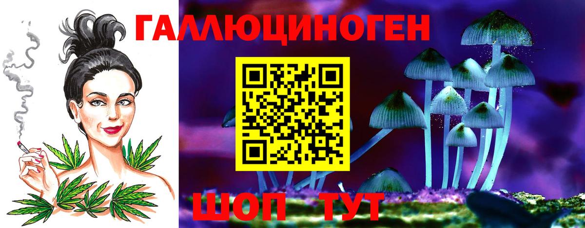 Верхний Уфалей  Псилоцибиновые грибы Cubensis  Вход с VPN 