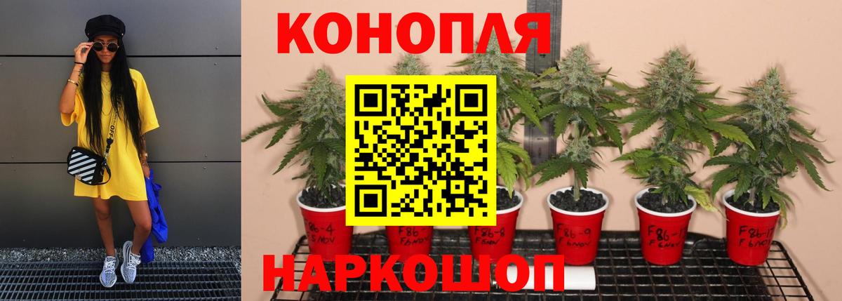 Бошки марихуана план Верхний Уфалей